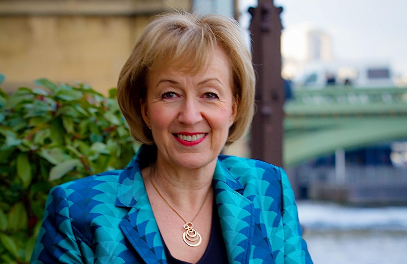 Andrea Leadsom Mp Promoted To Secretary Of State For Defra South Northamptonshire 